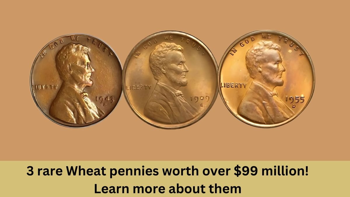 3 rare Wheat pennies worth over $99 million! Learn more about them