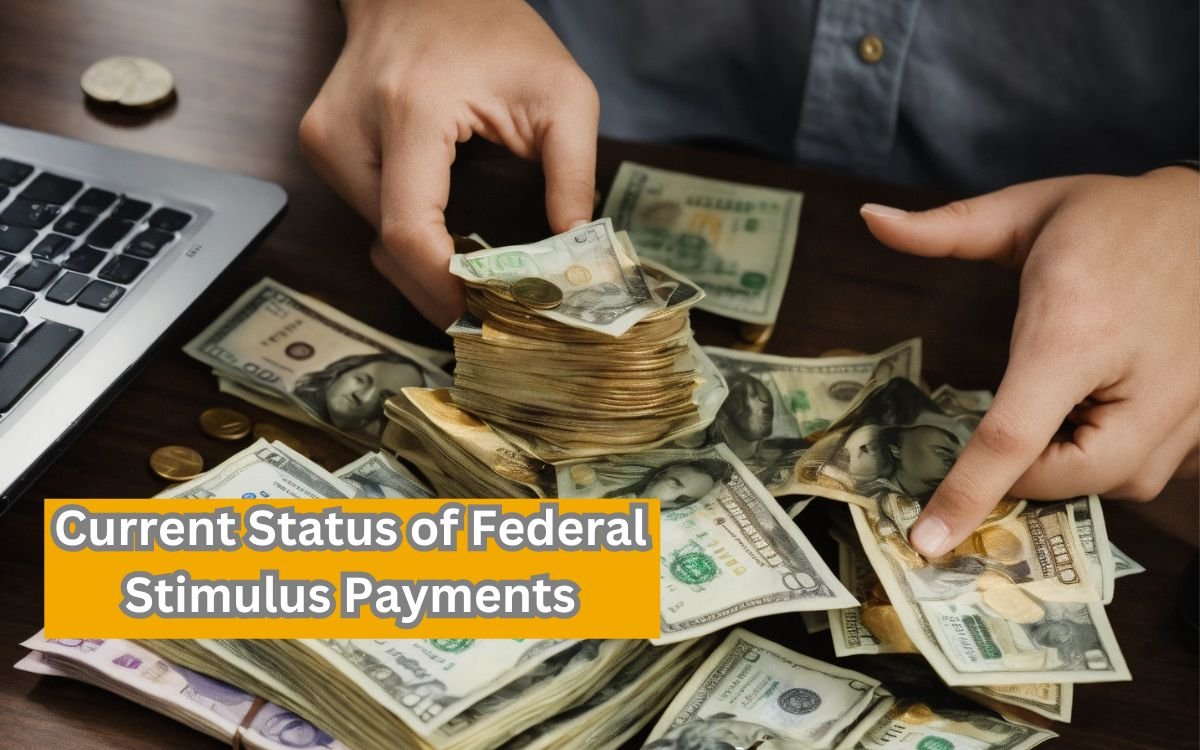 Current Status of Federal Stimulus Payments
